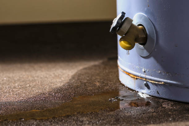 Best Emergency water damage restoration  in Taft, TX