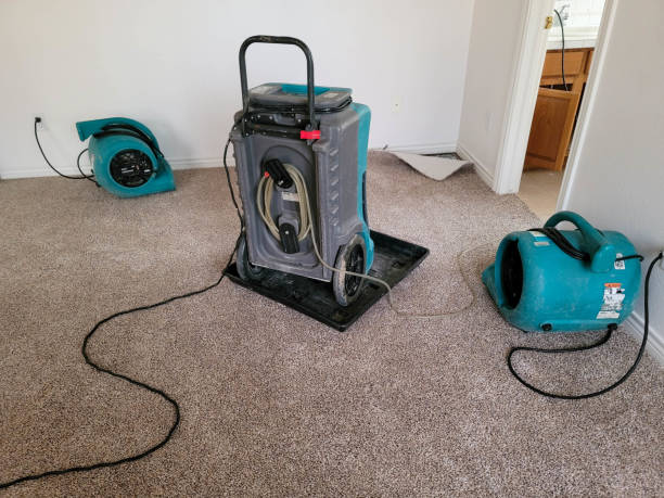 Best Water damage restoration near me  in Taft, TX