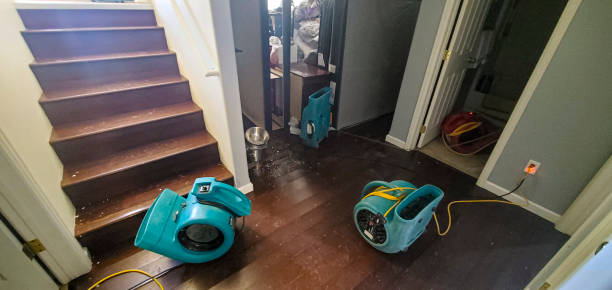 Best Professional water damage repair  in Taft, TX