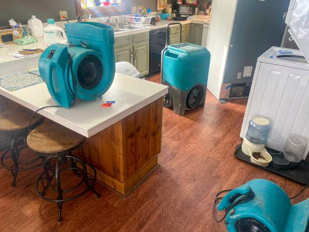 Professional Water damage restoration in Taft, TX
