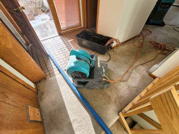Best Flooded house restoration  in Taft, TX