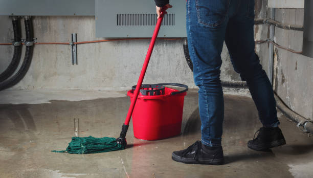 Best Local water damage restoration  in Taft, TX
