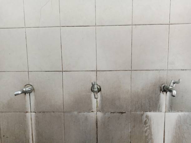 Best 24/7 water damage repair  in Taft, TX