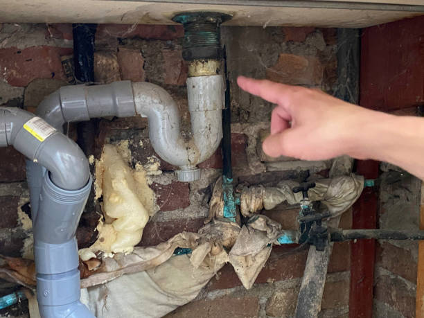 Best Water damage restoration near me  in Taft, TX