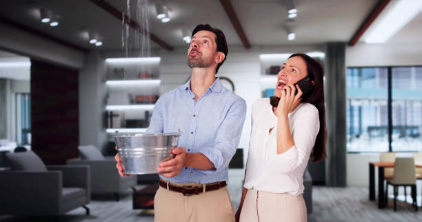 Carpet water damage restoration in Taft, TX