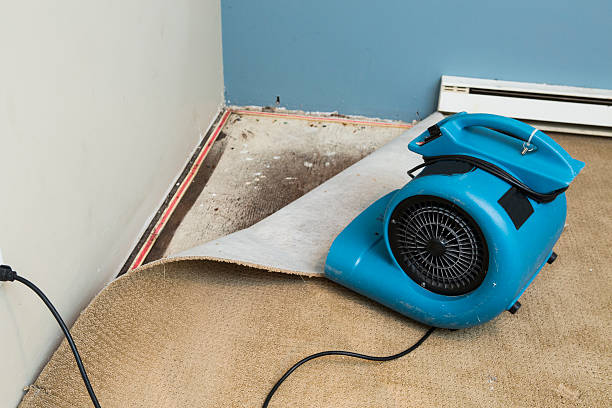 Best Water damage restoration experts  in Taft, TX
